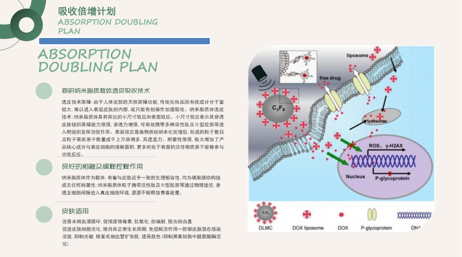 迈赛凯尔质臻面部精华液-4.jpg
