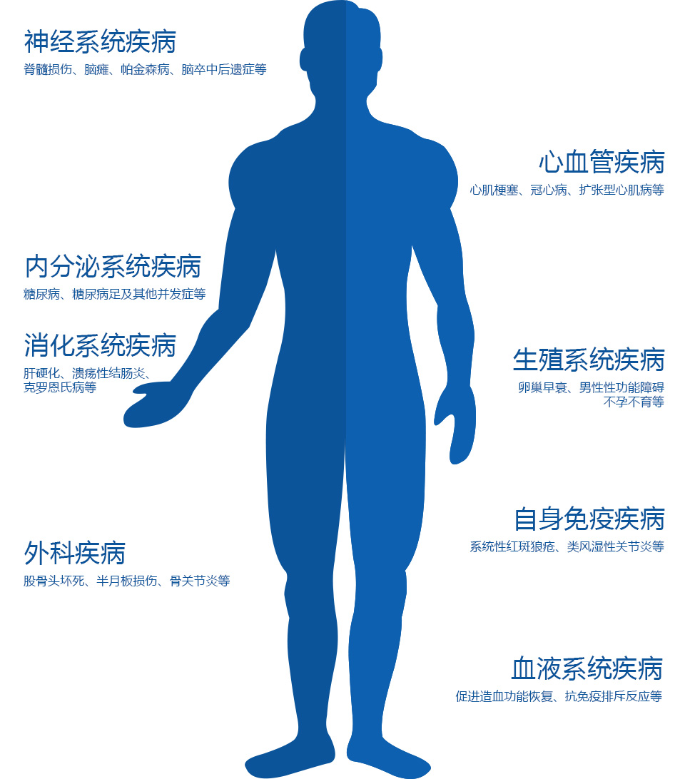 系统疾病.jpg